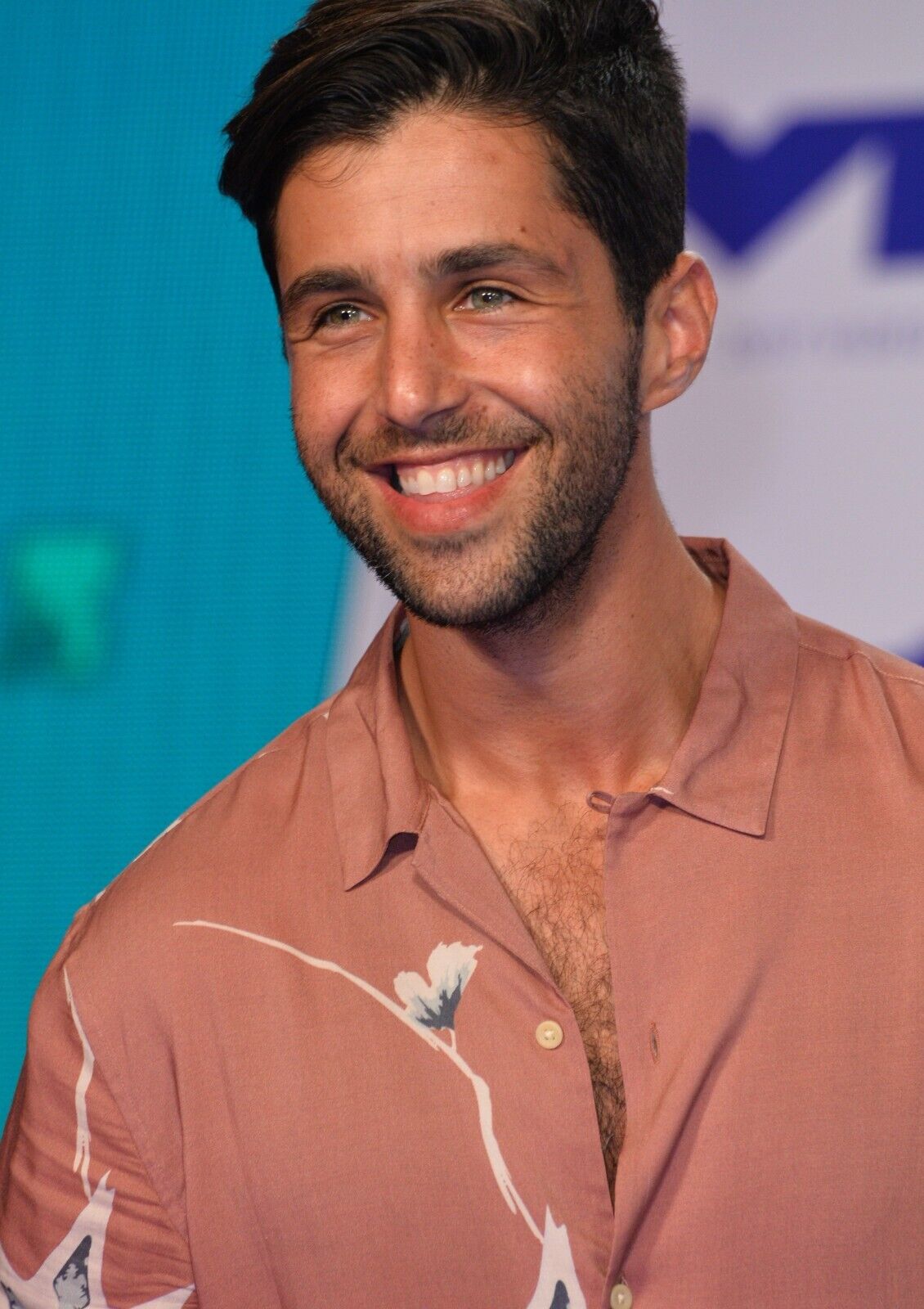 Josh Peck Poster | Actor Wall Art - Celebrities Poster