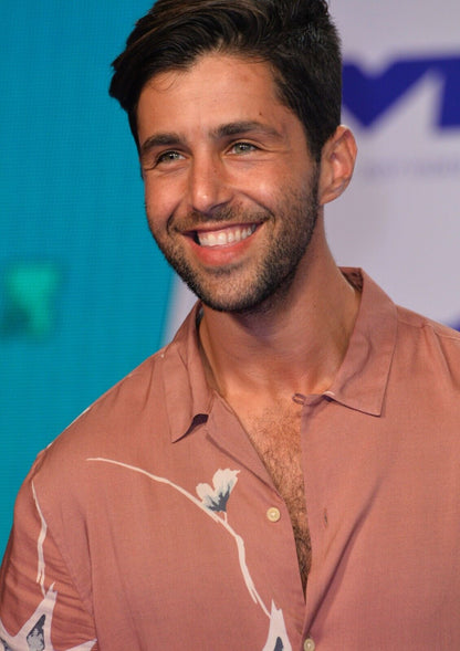 Josh Peck Poster | Actor Wall Art - Celebrities Poster