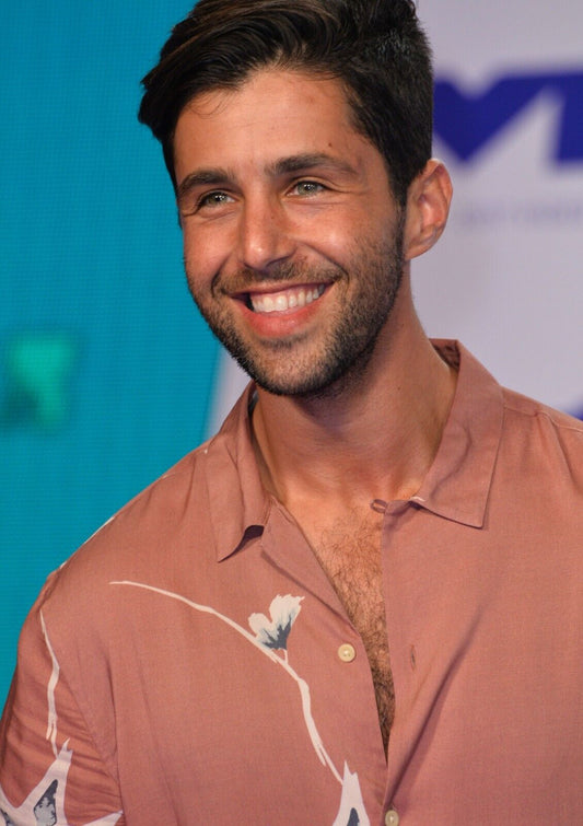 Josh Peck Poster | Actor Wall Art - Celebrities Poster