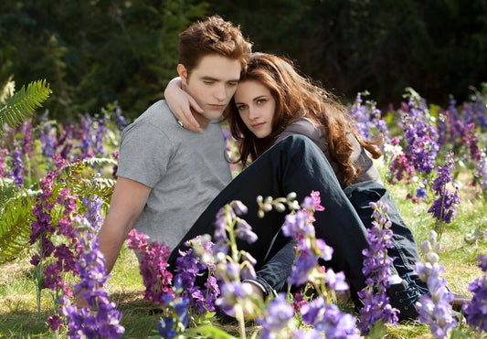 Twilight Saga Bella & Edward | Purple Flower Field Poster | Romance Movie Wall Art - Movies & TV Poster
