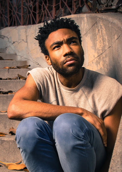 Donald Glover | Warm Tone Portrait | Celebrity Poster - Celebrities Poster