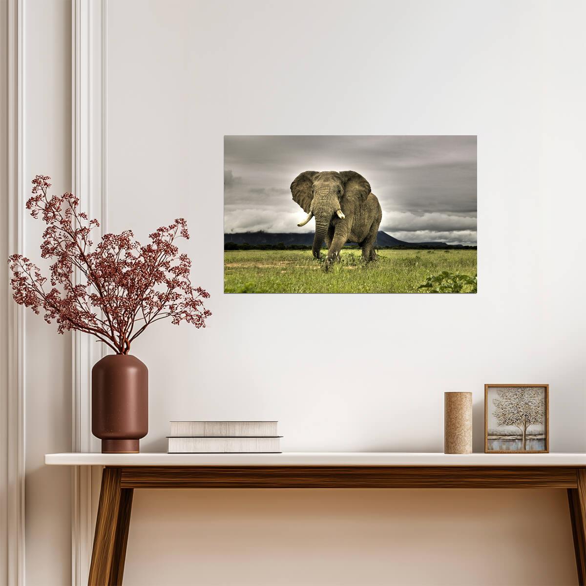 Elephant | Neutral Tone Art | Zoo Animal Poster - Photography Poster