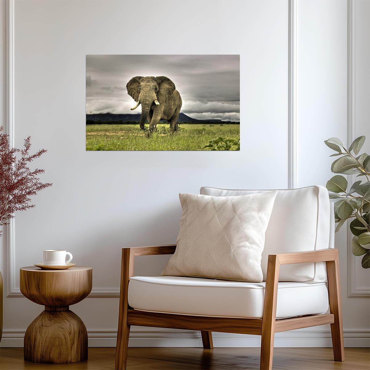 Elephant | Neutral Tone Art | Zoo Animal Poster - Photography Poster