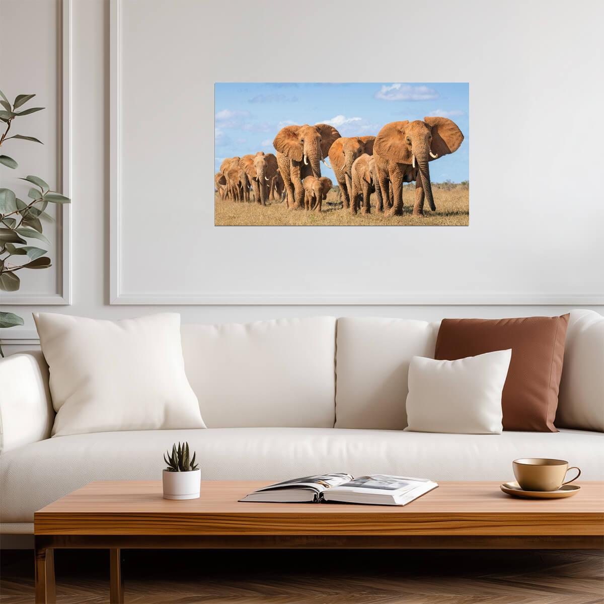 Elephant | Multicolor Illustration | Kids Wall Poster - Photography Poster