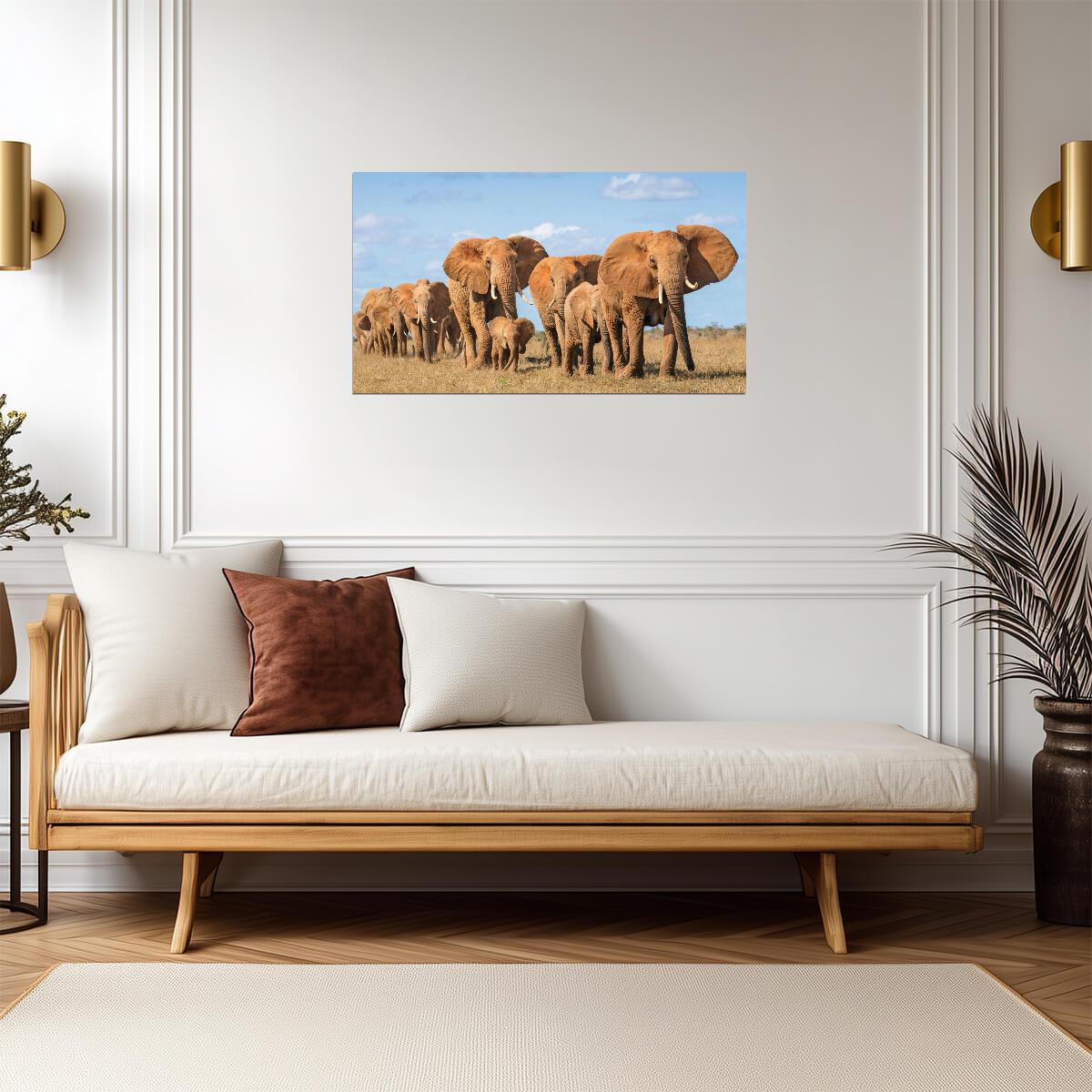 Elephant | Multicolor Illustration | Kids Wall Poster - Photography Poster