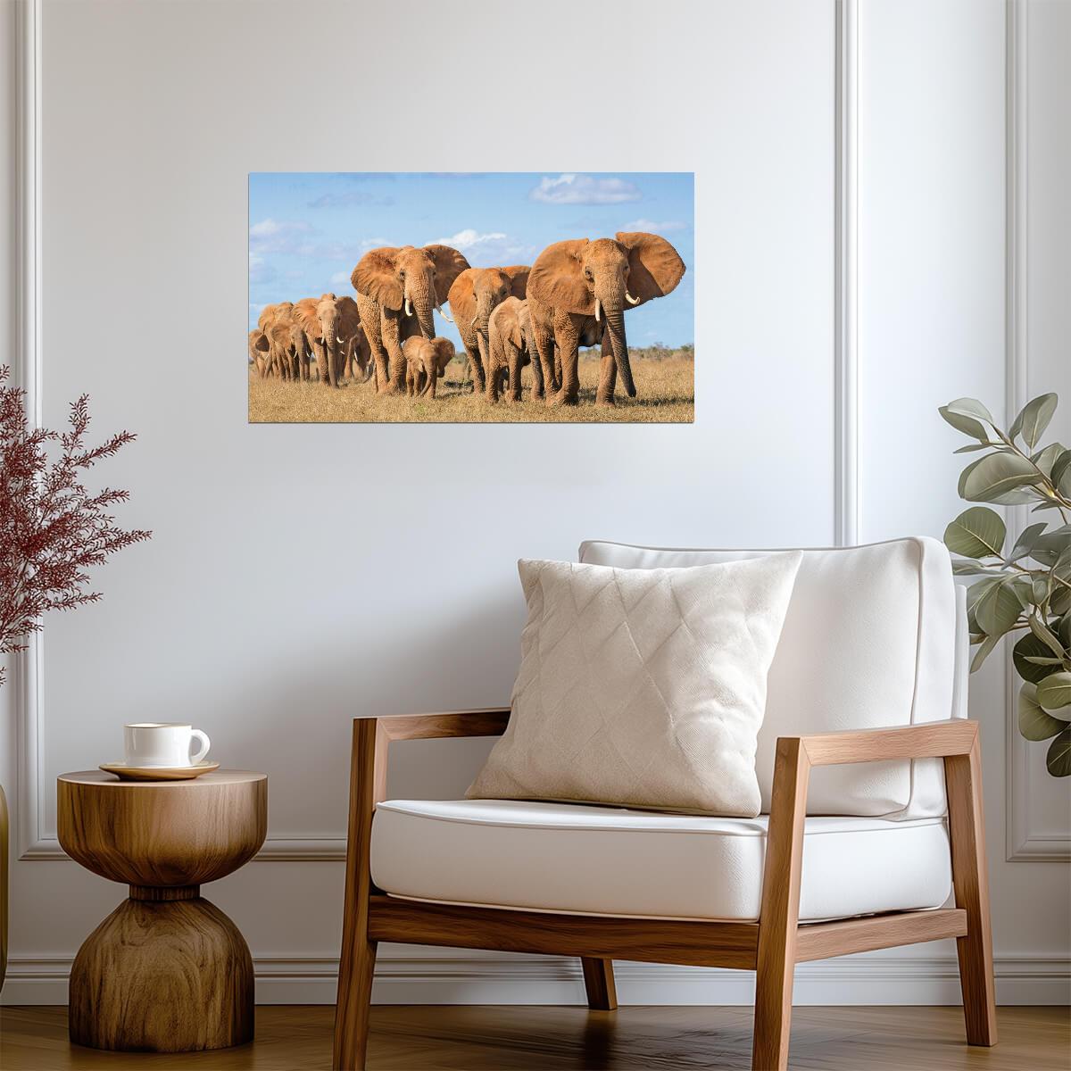 Elephant | Multicolor Illustration | Kids Wall Poster - Photography Poster