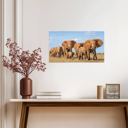 Elephant | Multicolor Illustration | Kids Wall Poster - Photography Poster