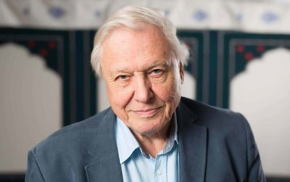 David Attenborough | Naturalist Portrait | Celebrity Poster - Celebrities Poster