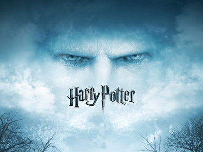 Harry Potter Lord Voldemort | Fantasy Movie Poster | Dark Lord Villain Art - Movies & TV Poster