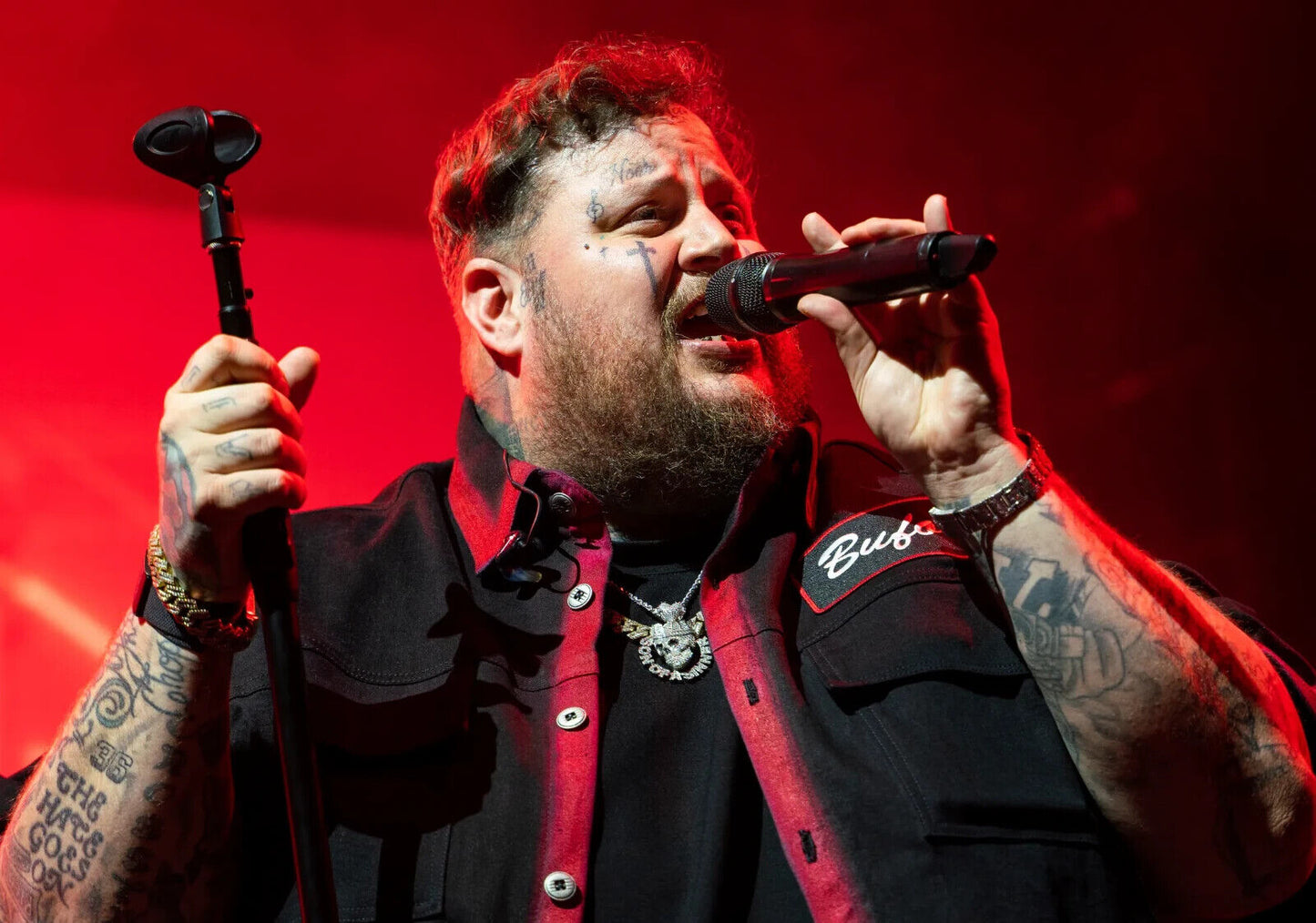 Jelly Roll Live | Concert Performance | Musician Poster - Music Poster