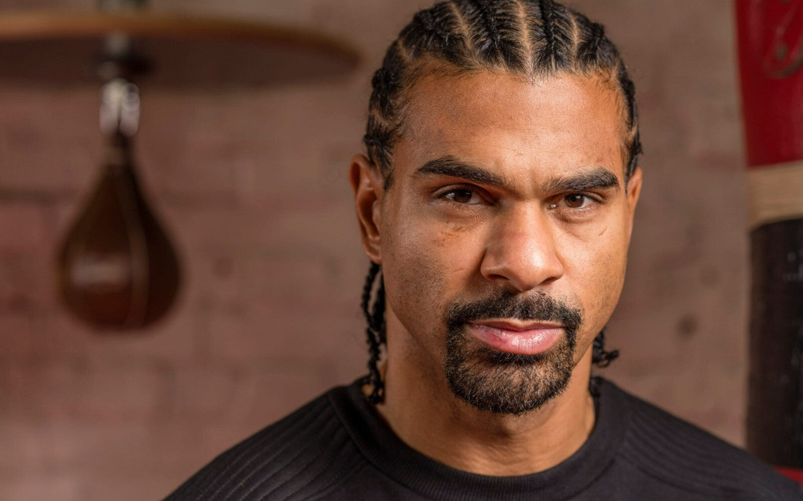 David Haye | Boxing Poster | British Boxing Legend Portrait - Sports Poster