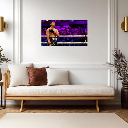 Salt Papi | Influencer Boxing Poster | Combat Sports Photography - Sports Poster