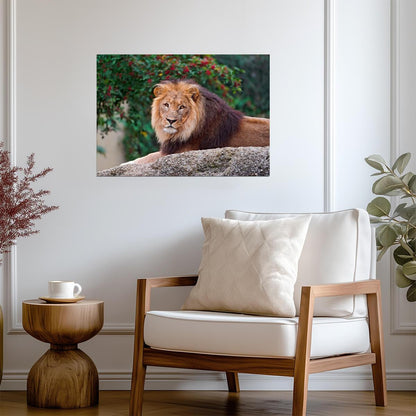 Lion Print | Wildlife Photography Poster - Photography Poster
