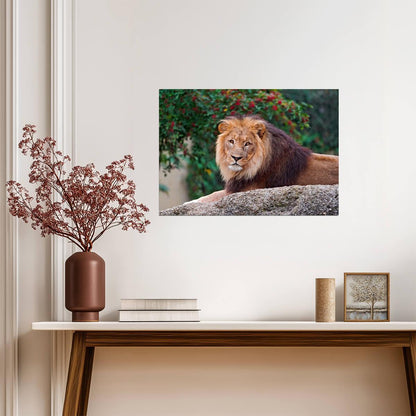 Lion Print | Wildlife Photography Poster - Photography Poster