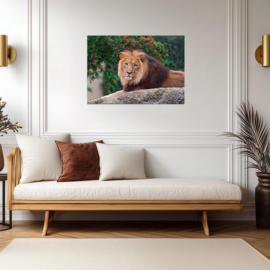 Lion Print | Wildlife Photography Poster - Photography Poster