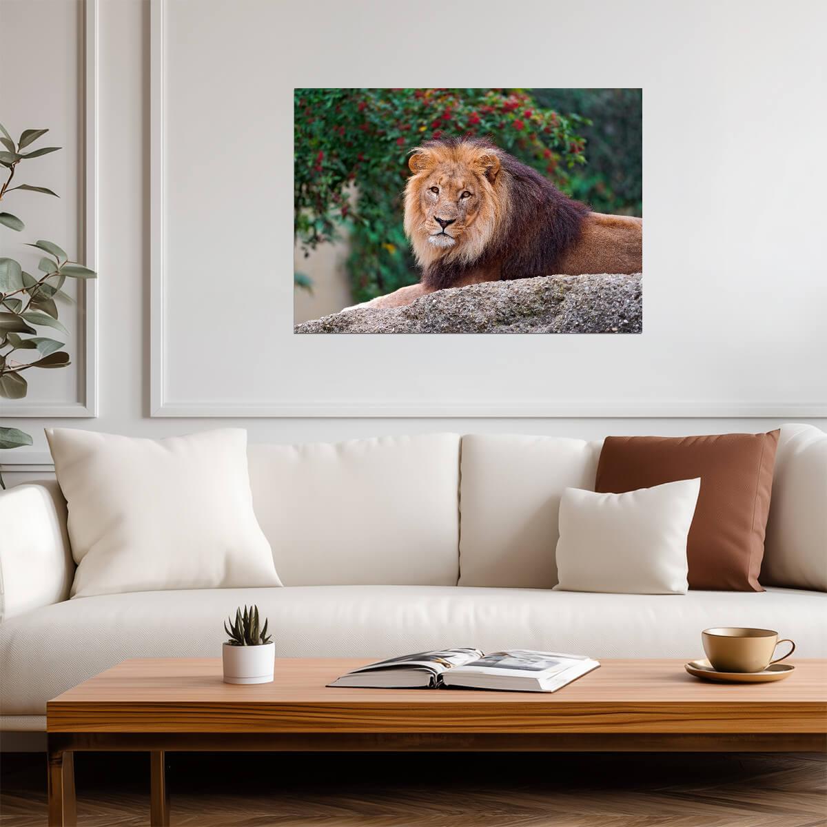 Lion Print | Wildlife Photography Poster - Photography Poster