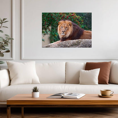 Lion Print | Wildlife Photography Poster - Photography Poster
