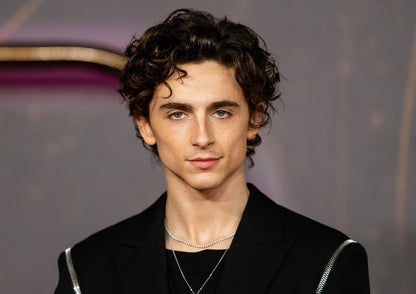 Timothée Chalamet Black Suit | Red Carpet Portrait | Celebrity Heartthrob Poster - Celebrities Poster