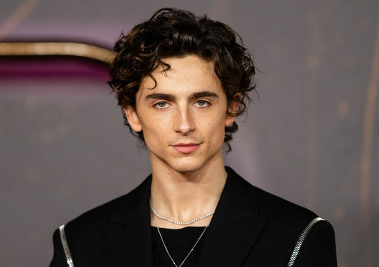 Timothée Chalamet Black Suit | Red Carpet Portrait | Celebrity Heartthrob Poster - Celebrities Poster