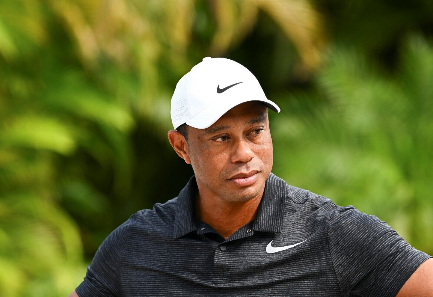 Tiger Woods Portrait | Golf Legend Poster | Sports Wall Art - Sports Poster