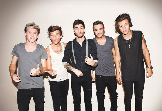 One Direction Studio Group Shot | Harry Styles & Zayn Malik | Boy Band Poster - Music Poster