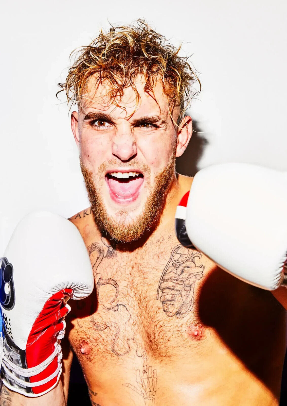 Jake Paul The Problem Child | Professional Boxing Poster | Combat Sports Wall Art - Sports Poster