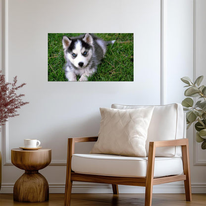 Dog Puppy | Neutral Tone Photo | Home Decor Poster - Photography Poster