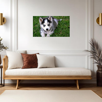 Dog Puppy | Neutral Tone Photo | Home Decor Poster - Photography Poster