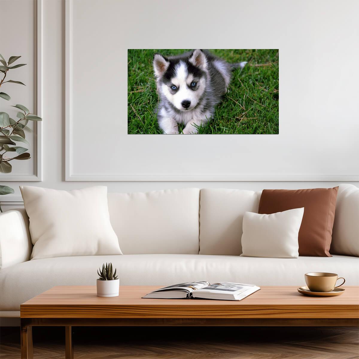 Dog Puppy | Neutral Tone Photo | Home Decor Poster - Photography Poster