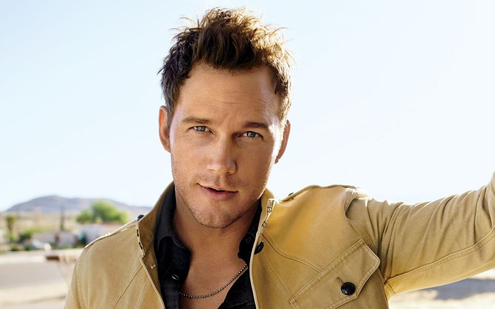 Chris Pratt | American Actor | Wall Decor Poster - Celebrities Poster