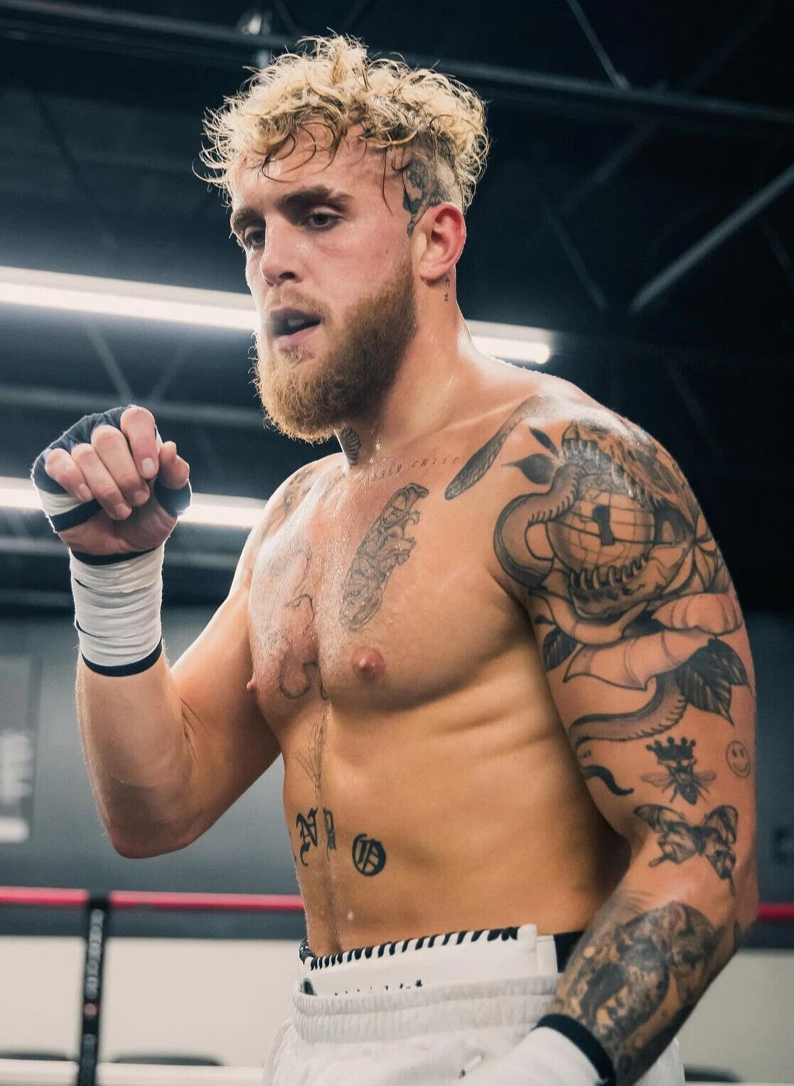 Jake Paul The Problem Child | Boxing Training Poster | Motivational Combat Sports Art - Sports Poster