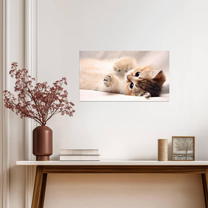 Cat Kitten | Feline Portrait | Nursery Wall Poster - Photography Poster