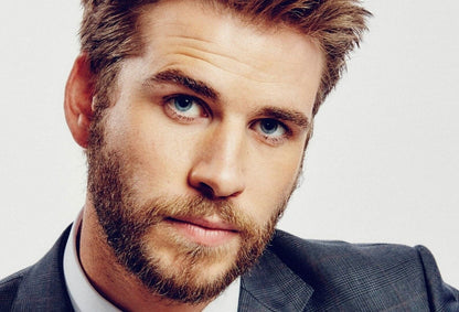 Liam Hemsworth Wall Art | Australian Actor Poster - Celebrities Poster