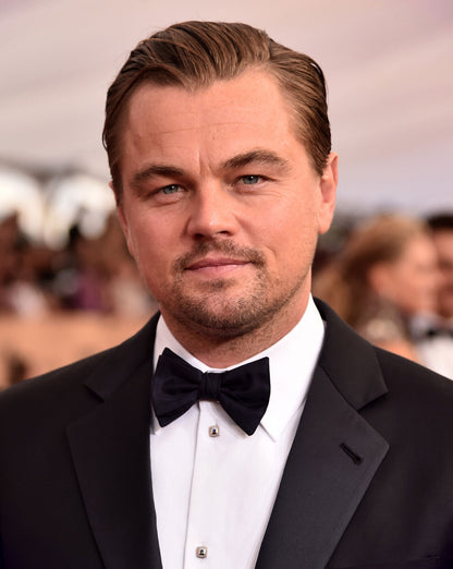 Leonardo DiCaprio Wall Art | American Actor Poster - Celebrities Poster