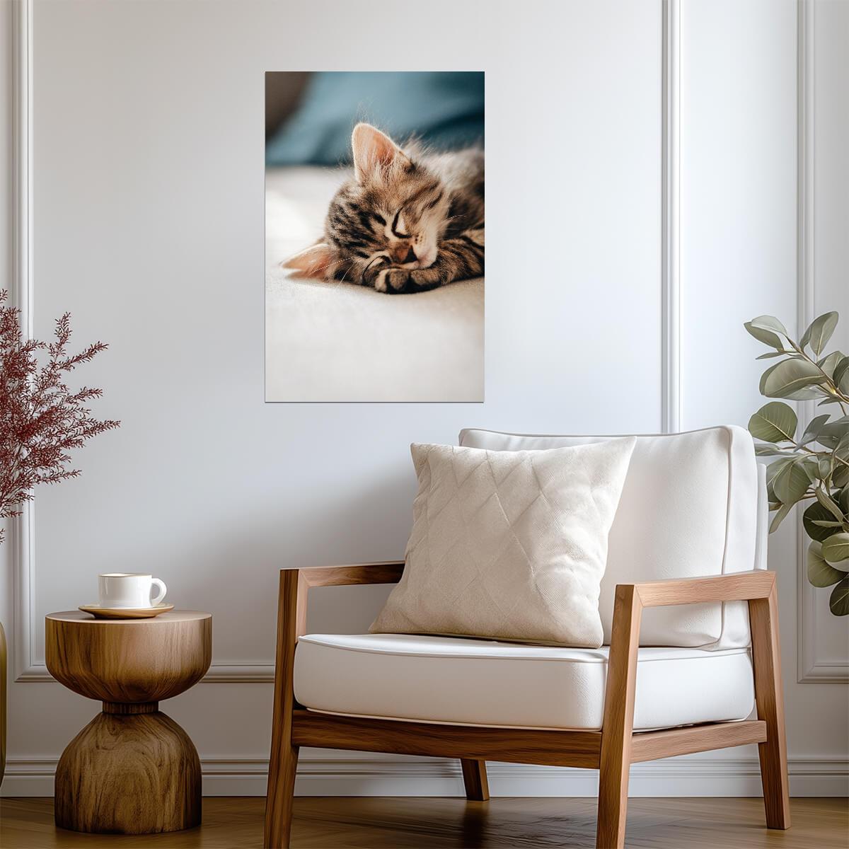 Cat Kitten | Colorful Cat Art | Animal Poster - Photography Poster