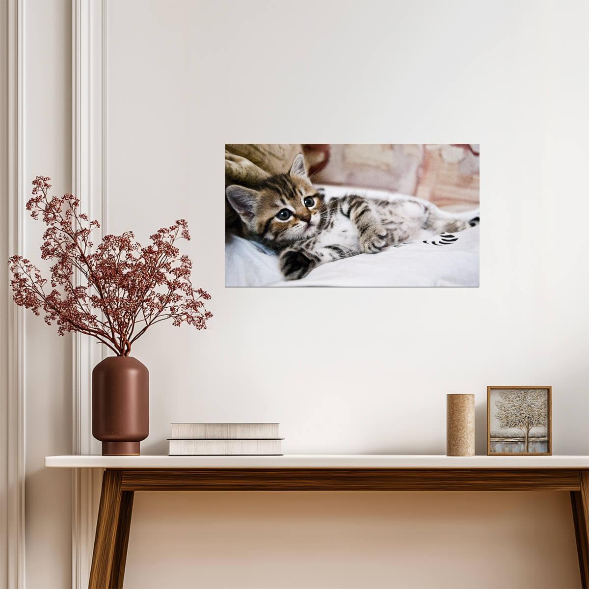 Cat Kitten | Neutral Tone Photo | Home Decor Poster - Photography Poster