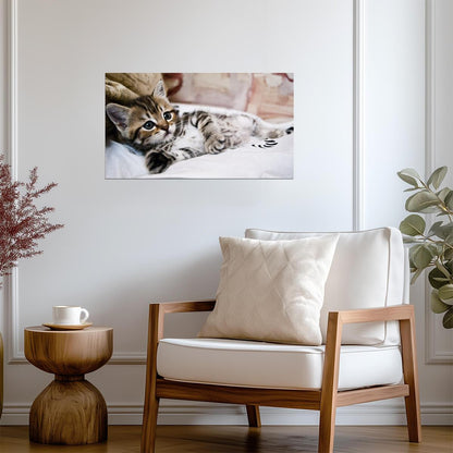 Cat Kitten | Neutral Tone Photo | Home Decor Poster - Photography Poster
