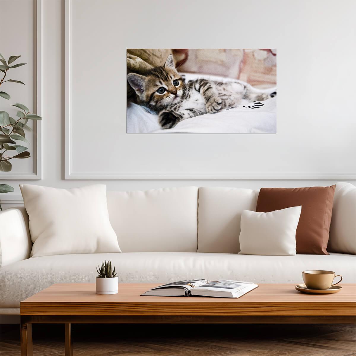 Cat Kitten | Neutral Tone Photo | Home Decor Poster - Photography Poster
