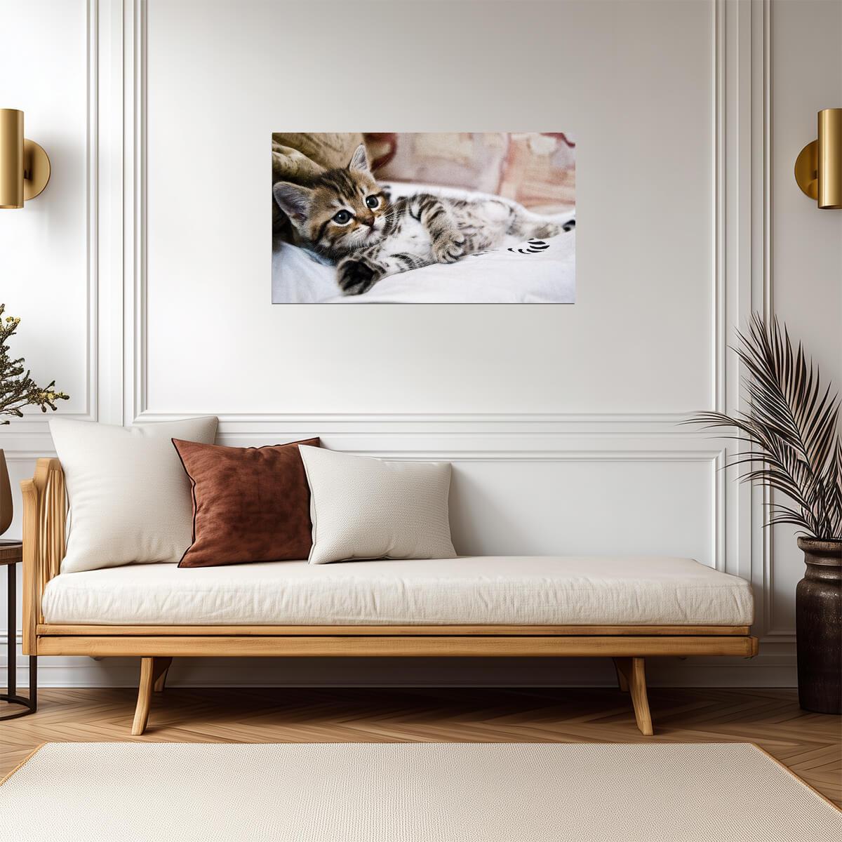 Cat Kitten | Neutral Tone Photo | Home Decor Poster - Photography Poster