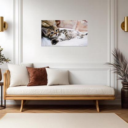 Cat Kitten | Neutral Tone Photo | Home Decor Poster - Photography Poster