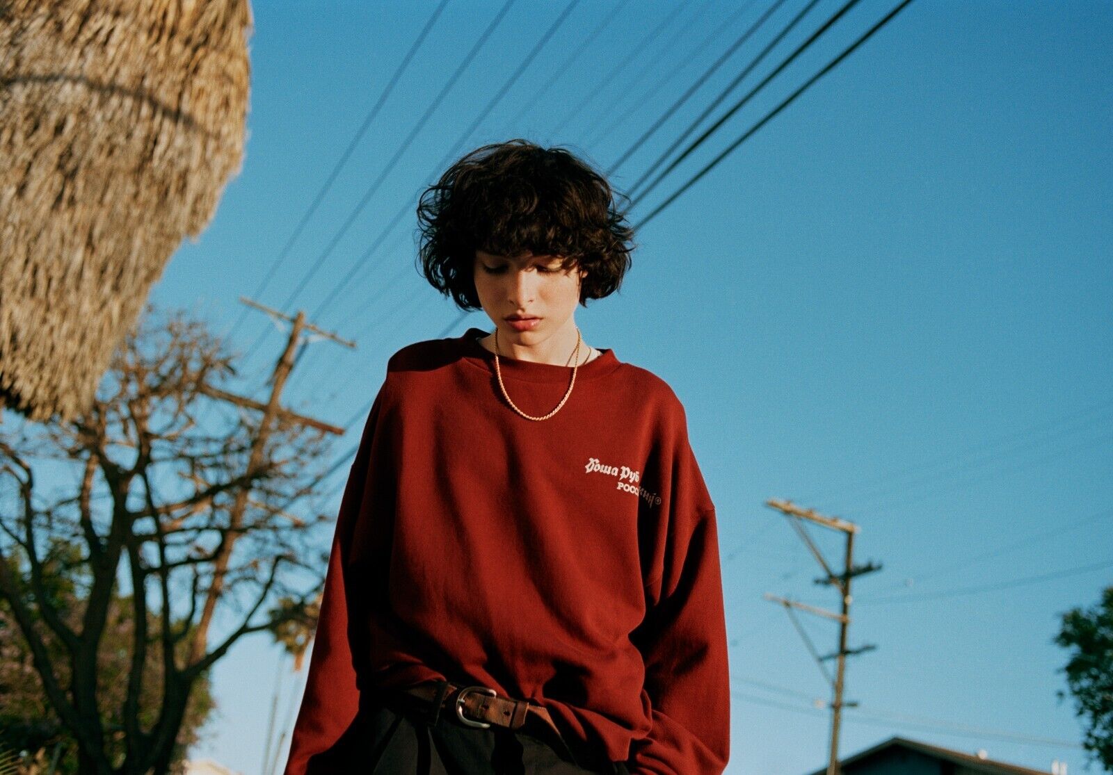 Finn Wolfhard | Canadian Actor | Wall Art Poster - Celebrities Poster