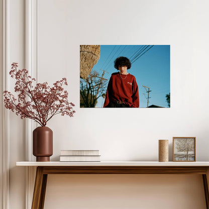 Finn Wolfhard | Canadian Actor | Wall Art Poster - Celebrities Poster