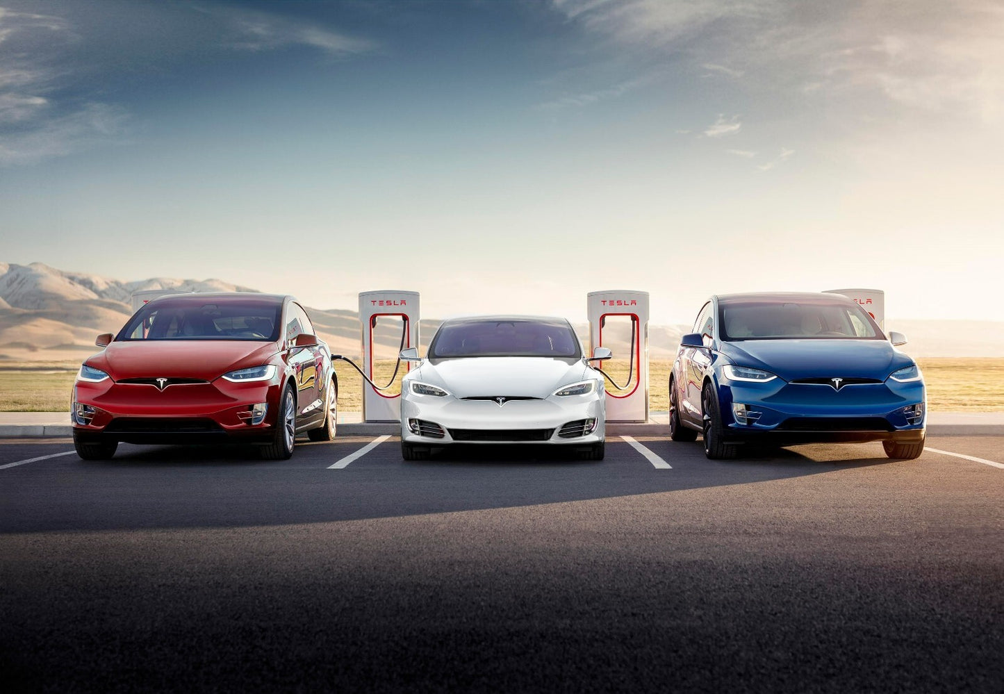Tesla Model S & Model X Lineup | Electric Cars at Supercharger Station | EV Future Poster - Cars Poster