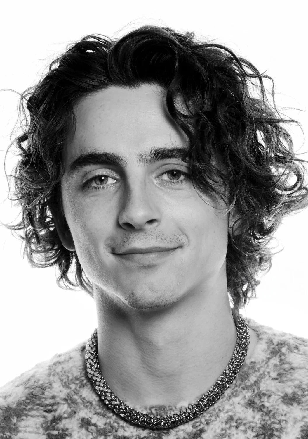 Timothee Chalamet Black & White Portrait | Modern Actor Poster | Celebrity Wall Art - Celebrities Poster