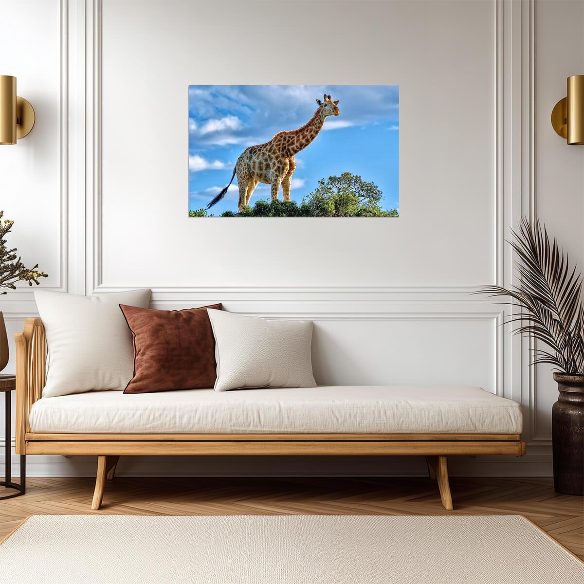 Giraffe | Tallest Mammal | Kids Room Poster - Photography Poster