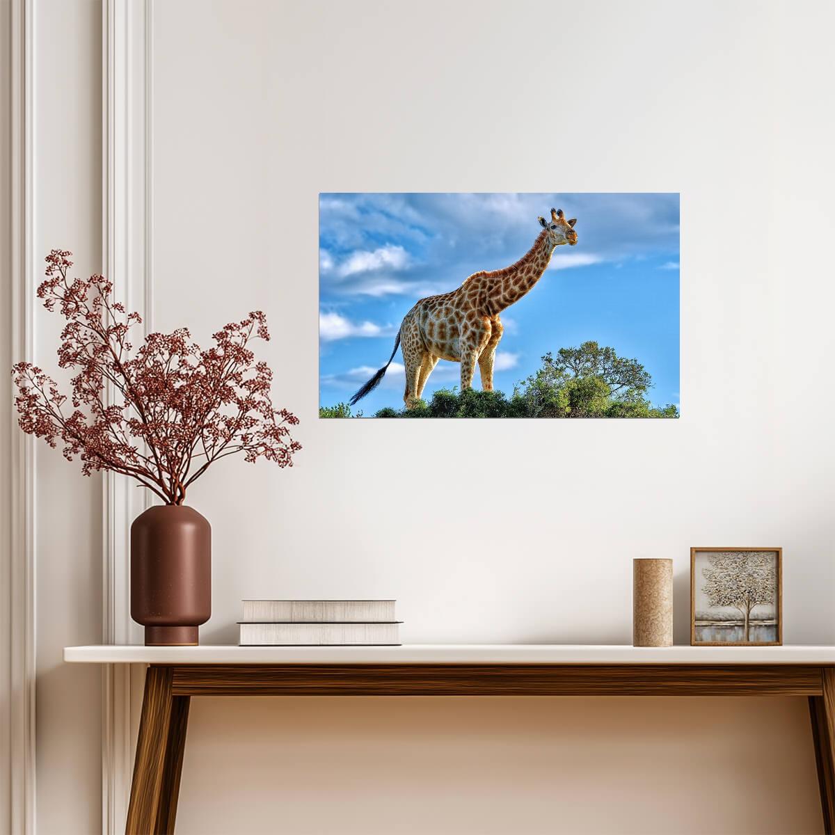 Giraffe | Tallest Mammal | Kids Room Poster - Photography Poster