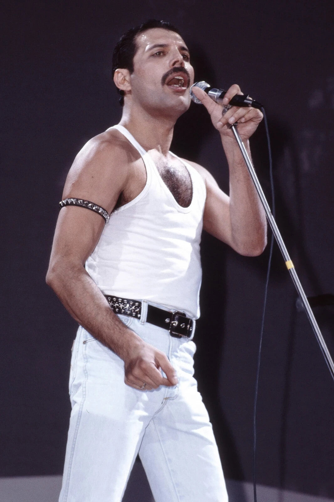 Freddie Mercury at Live Aid 1985 | Queen Concert Photo Poster | Rock Music Legend - Music Poster