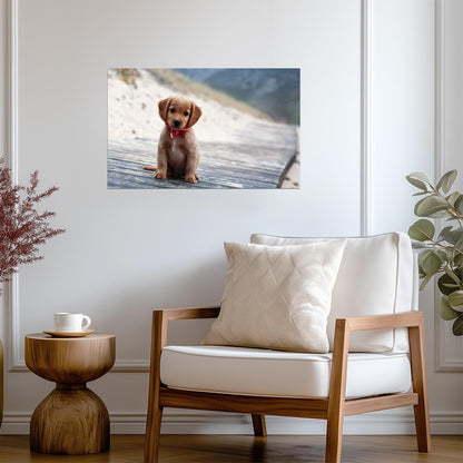 Dog Puppy | Multicolor Pet Print | Modern Poster - Photography Poster