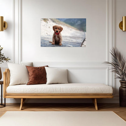 Dog Puppy | Multicolor Pet Print | Modern Poster - Photography Poster