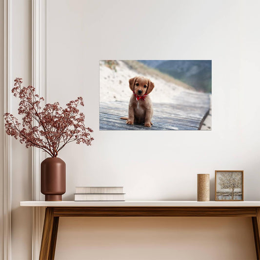 Dog Puppy | Multicolor Pet Print | Modern Poster - Photography Poster